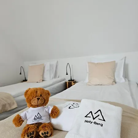 Ferienhaus Holy Berg - Dom Stworzony Z Mysla O Tobie - Widok Na Tatry - Mountain View